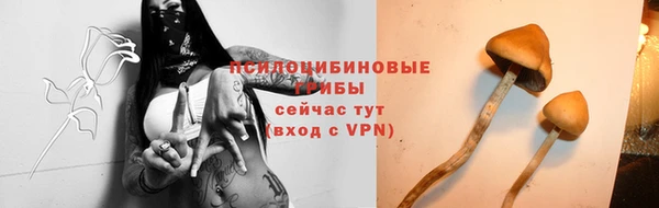 первитин Володарск