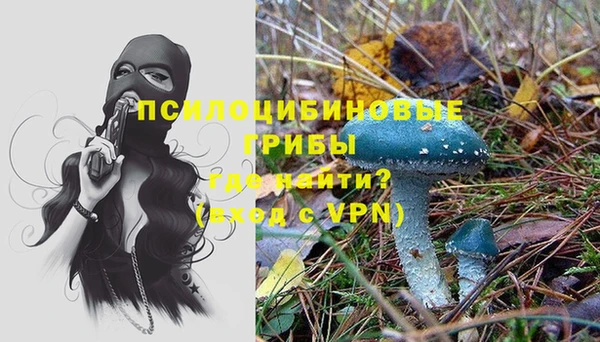 первитин Володарск